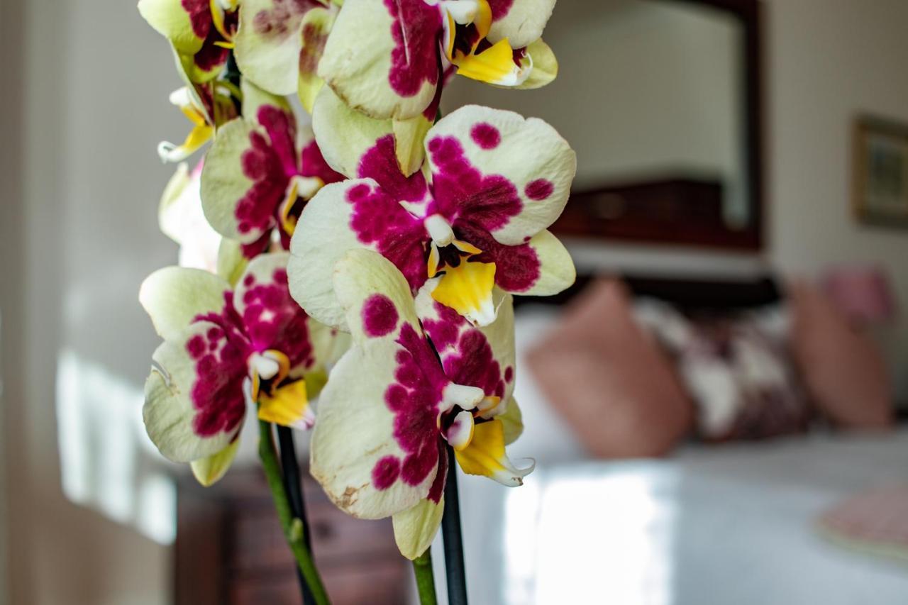 Carmichael House Boutique Hotel Cape Town Bagian luar foto