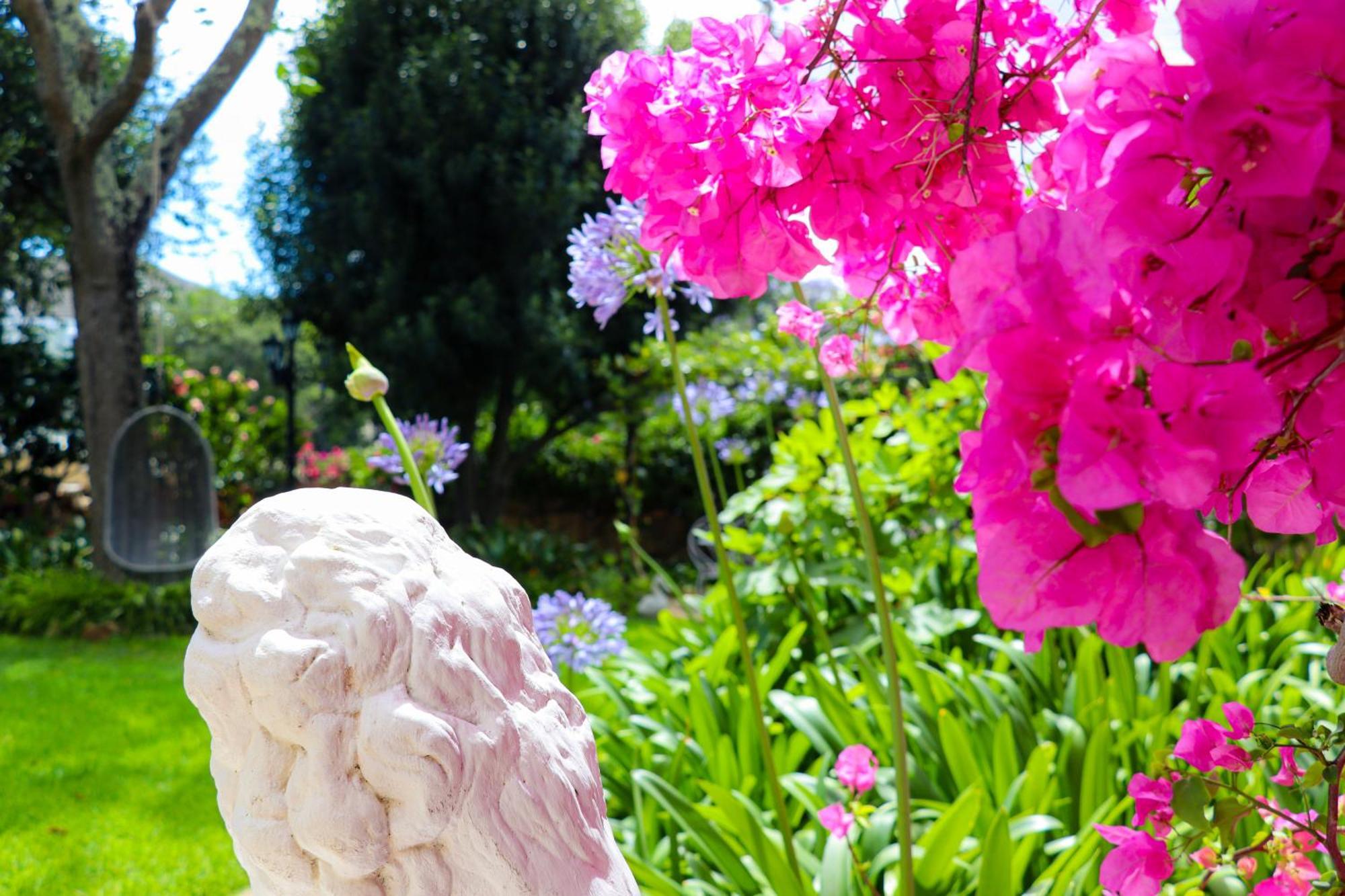 Carmichael House Boutique Hotel Cape Town Bagian luar foto