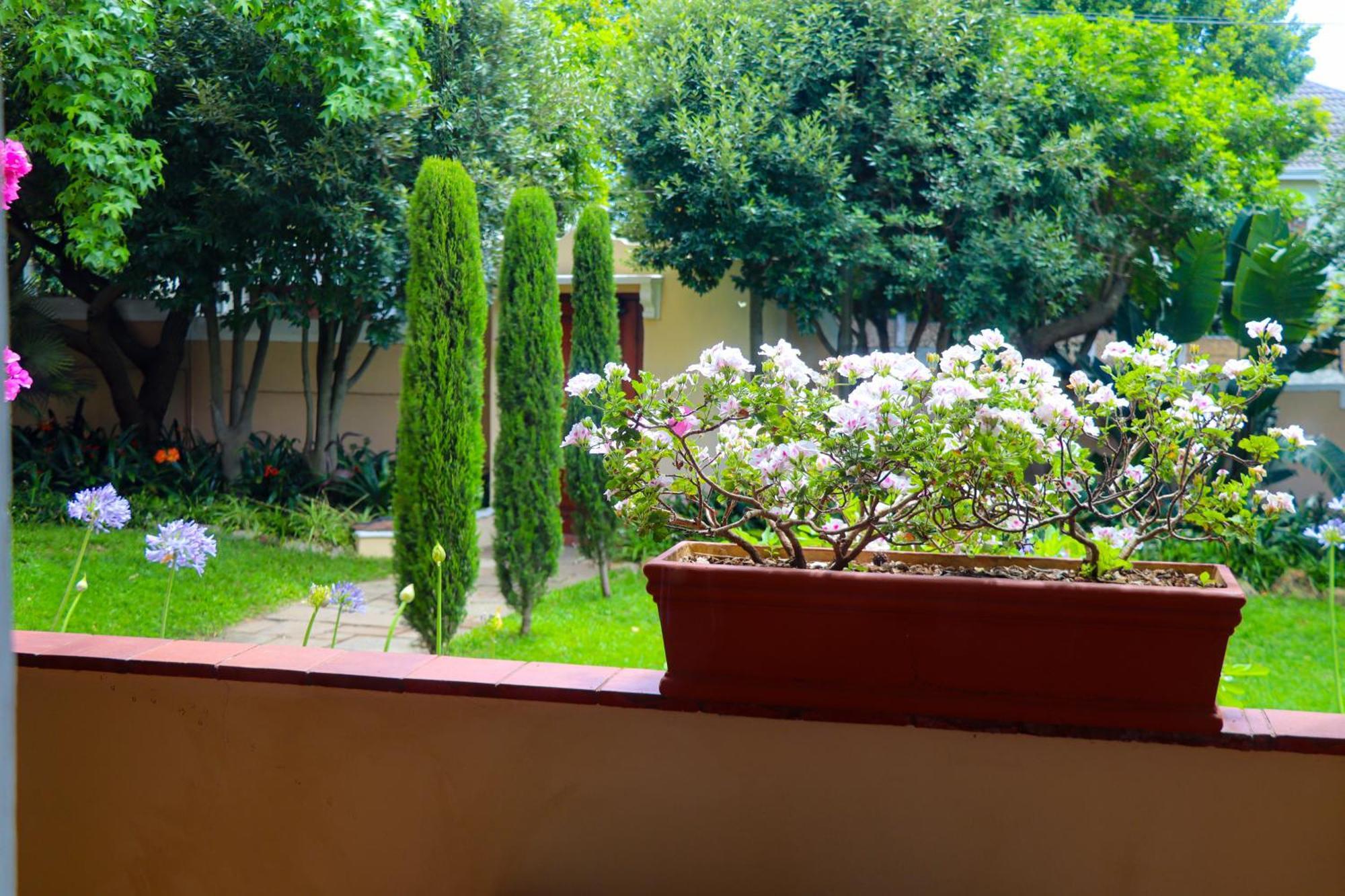 Carmichael House Boutique Hotel Cape Town Bagian luar foto