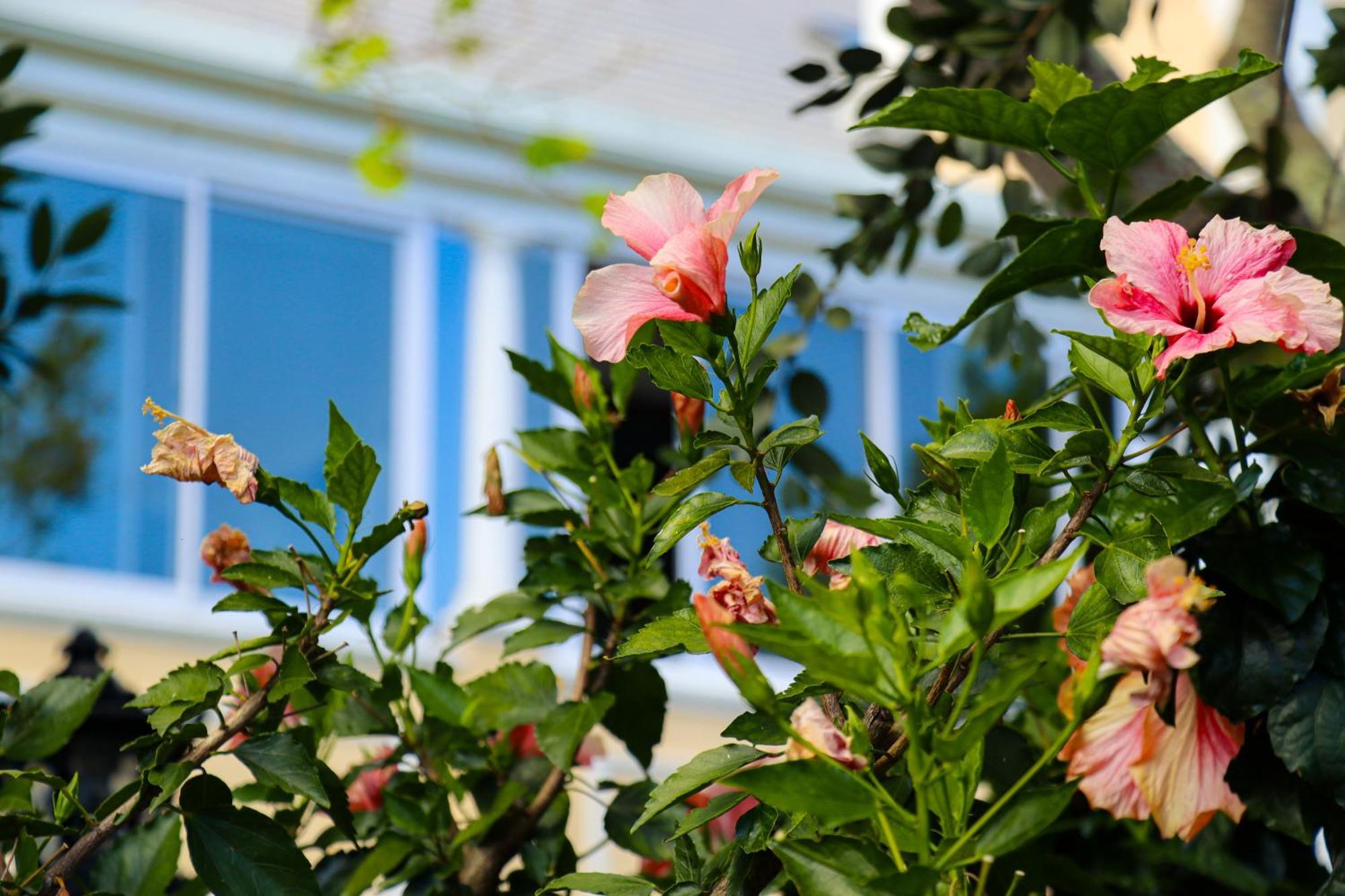 Carmichael House Boutique Hotel Cape Town Bagian luar foto