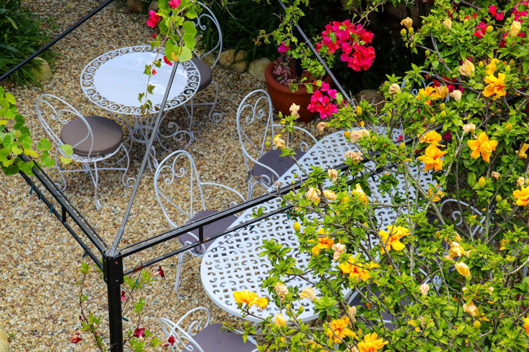 Carmichael House Boutique Hotel Cape Town Bagian luar foto